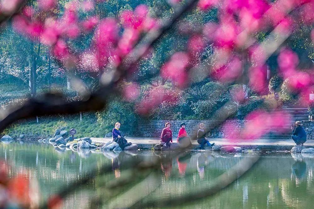 《繁花》看“上头”,快来跟钱程老师学讲上海闲话!