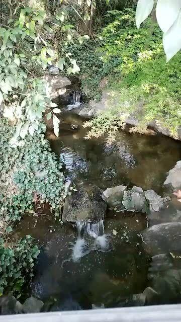 努比亚z60ultr,拍照体验和画面质量提升