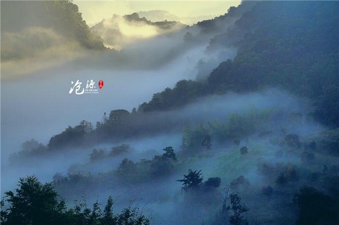 救援受困的火鸡