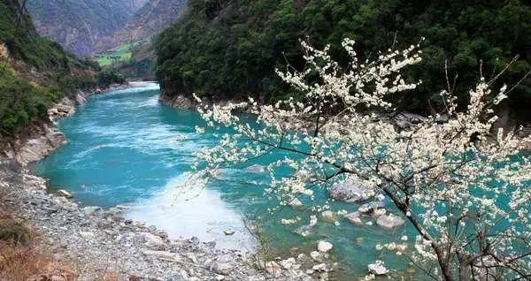 全民剧本大师内置菜单