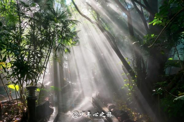 苏州工业园区淞涛社区:心系新业态,服务显真情