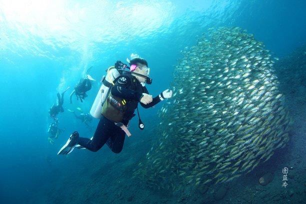 税惠红利催热 夷陵冬日经济