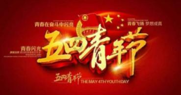 猫咪换环境导致应激怎么安抚？游戏画面