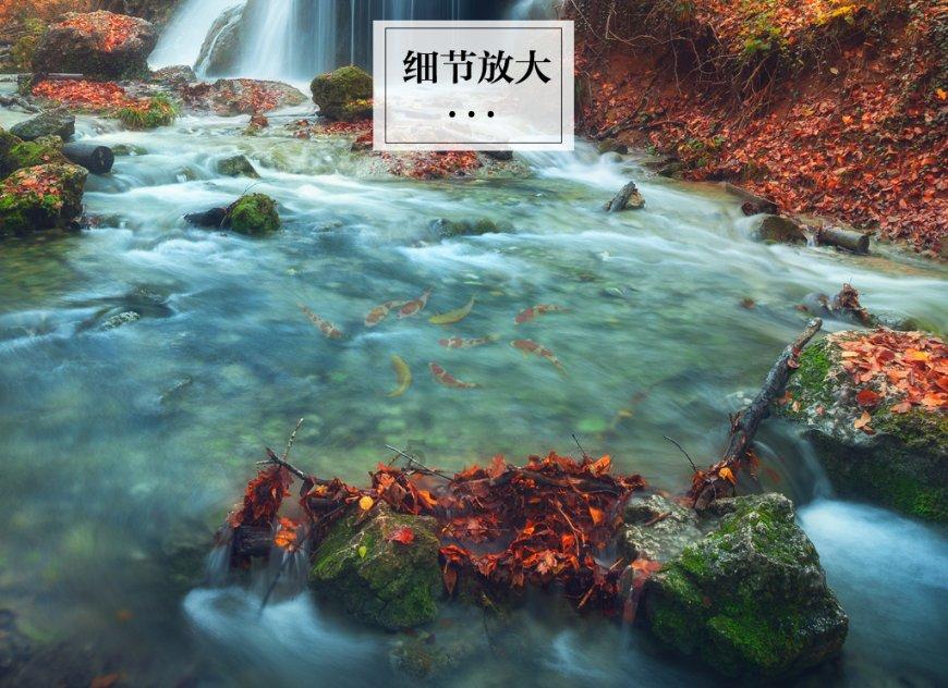 痛别！阜阳“大鱼”，走了！