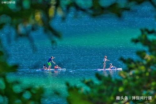 【水果猎人】榴莲成了山东特产？这次是真没听说